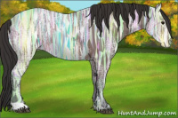Horse Color:Bay Ice 