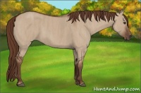 Horse Color:Liver Red Dun  Brindle