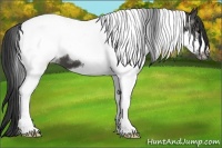 Horse Color:Black Splash Tobiano Frame 