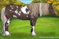 Horse Color:White Spotted Liver Chestnut Rabicano 