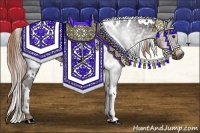 Horse Color:Gray White Spotted Liver Chestnut 