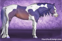 Horse Color:Watercolor Brown Splash Tobiano 