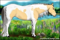 Horse Color:Buckskin Tobiano 
