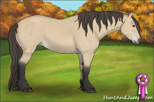 Horse Color: Buckskin Dun 