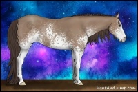 Horse Color:White Spotted Classic Champagne 