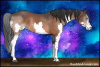 Horse Color:Bay Splash 
