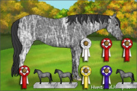 Horse Color:Blue Ice Roan 