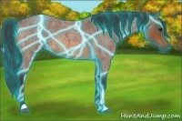 Horse Color:Thunderstruck Bay Roan 