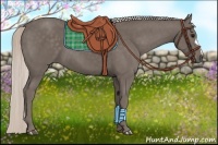 Horse Color:Silver Black 