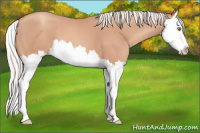 Horse Color:Silver Classic Champagne Splash