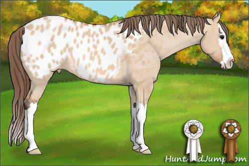 Horse Color: Bay Roan Dun Splash Blanket 