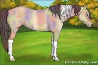 Horse Color:Nacre Amber Champagne Dun Tobiano 