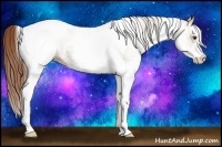 Horse Color:White Spotted Red Dun Tobiano 