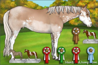 Horse Color:Silver Black Pearl Sabino 