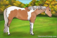 Horse Color:Silver Bay Tobiano 