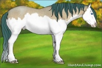 Horse Color:Watercolor Amber Champagne Roan Splash 