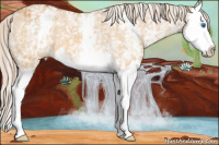 Horse Color:White Spotted Chocolate Palomino Roan Dun Splash Appaloosa 