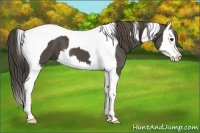 Horse Color:Smoky Black Splash Tobiano 