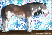 Horse Color:Brown Splash 