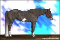 Horse Color:Smoky Black Splash Frame  Brindle