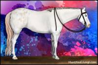 Horse Color:Amber Champagne Roan Dun Splash Blanket 