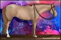 Horse Color:Liver Chestnut Pearl 