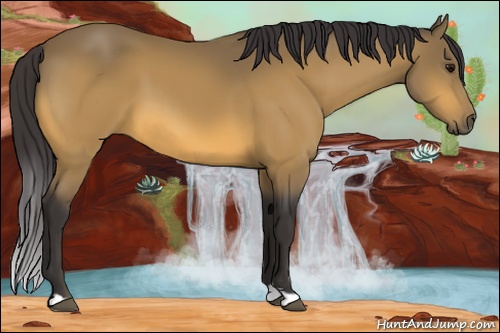 Horse Color: Buckskin 