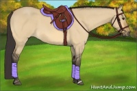 Horse Color:Buckskin Roan Dun 