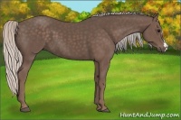 Horse Color:Silver Black 