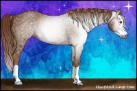 Horse Color:Gray Chestnut Splash 