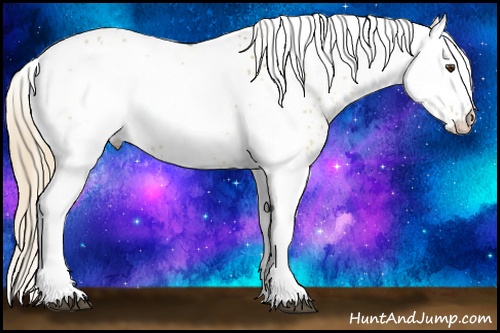 Horse Color: White Spotted Red Dun 