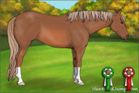 Horse Color:Liver Chestnut 
