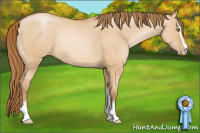 Horse Color:Bay Pearl Dun Sabino Rabicano 