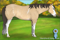 Horse Color:White Spotted Buckskin Dun Splash Rabicano