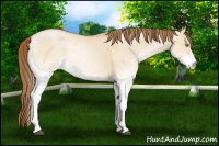 Horse Color:White Spotted Bay Pearl Dun