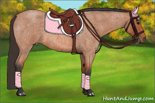 Horse Color:Bay Roan 