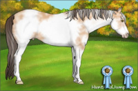 Horse Color:White Spotted Amber Champagne Frame 