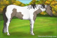 Horse Color:Smoky Grullo Tobiano 