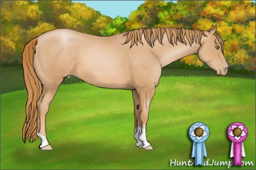 Horse Color: Chestnut Pearl 