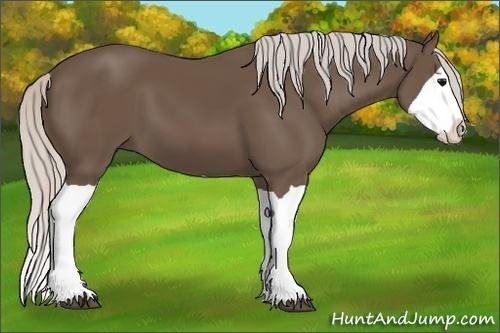 Horse Color:Silver Black Splash 