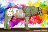 Horse Color:Watercolor Sable Champagne Appaloosa 