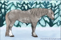Horse Color:Silver Black Ice 
