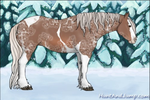 Horse Color: Silver Bay Ice Splash Tobiano 