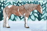 Horse Color:Silver Bay Ice Splash Tobiano 