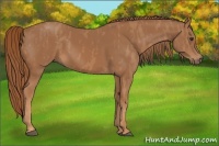 Horse Color:Chestnut  Brindle