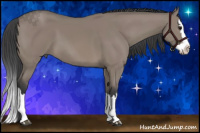 Horse Color:Grullo Splash 