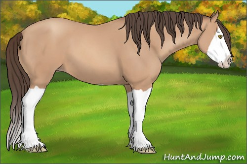 Horse Color: Amber Champagne Splash 
