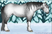 Horse Color:Gray Black 