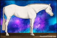 Horse Color:Smoky Creme Roan Dun 