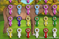 Horse Color:Chestnut Rabicano 